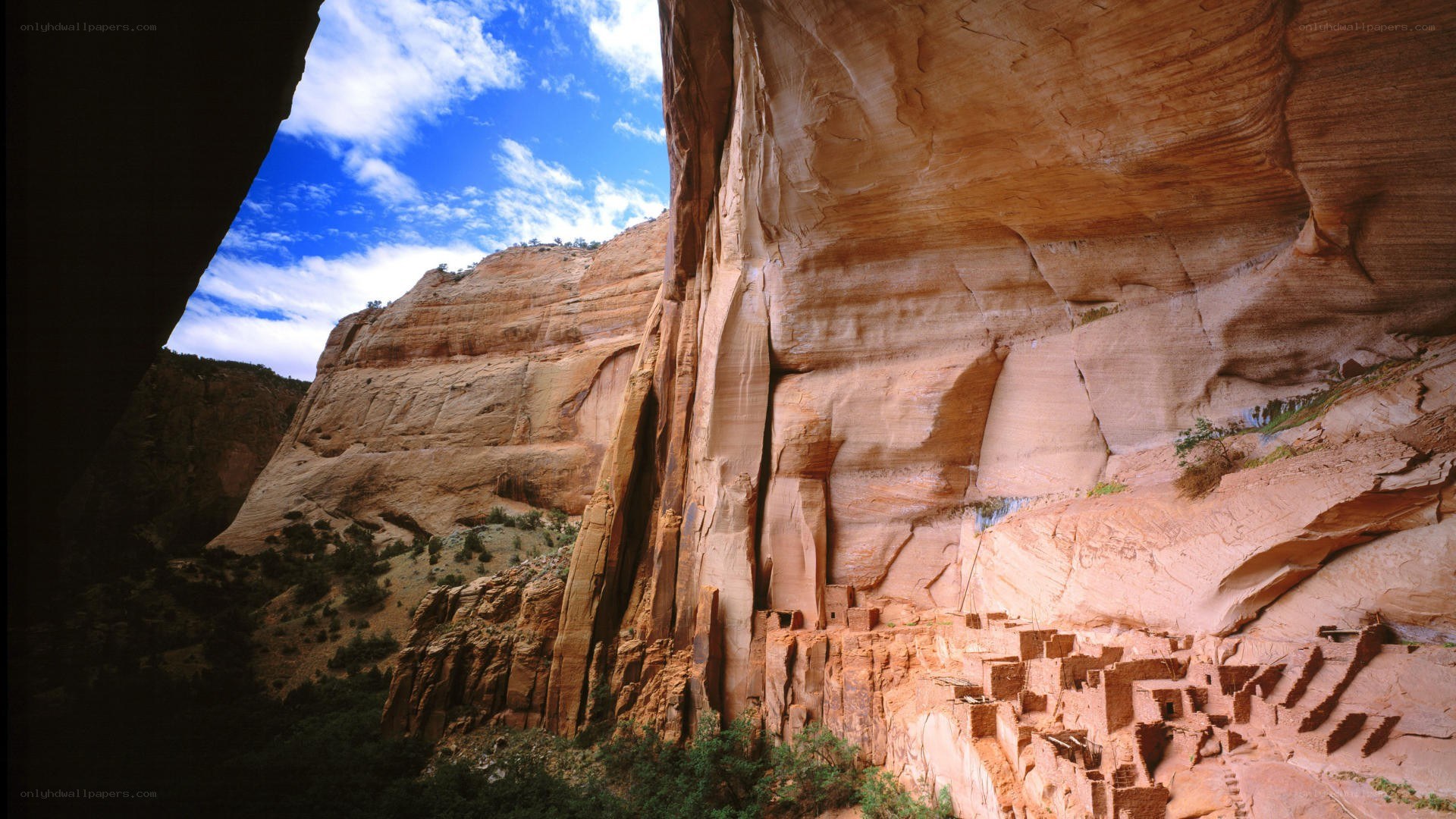 Cliff dwellings in a canyon