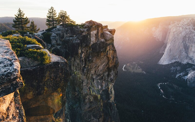 Cliff Edge with Trees — Brown