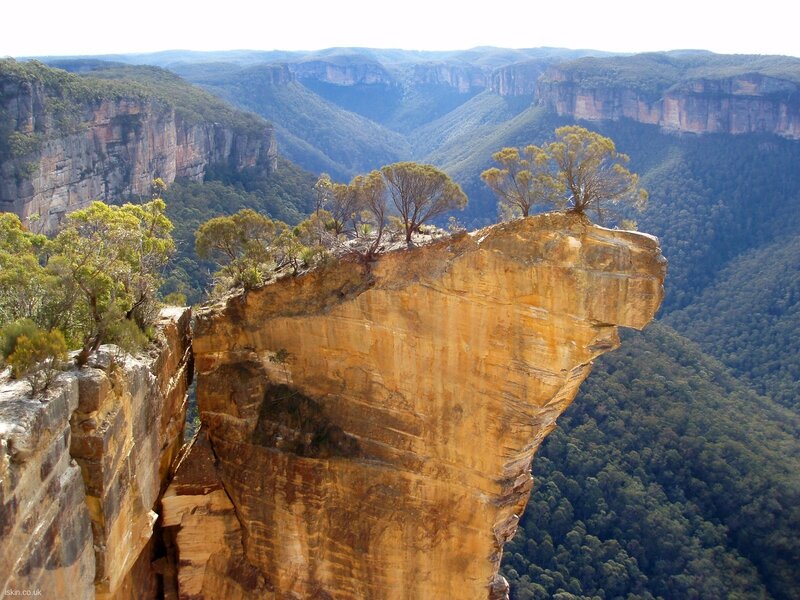 Cliff Edge with Trees