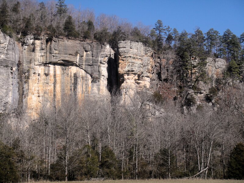 Cliff Face with Trees — Blue