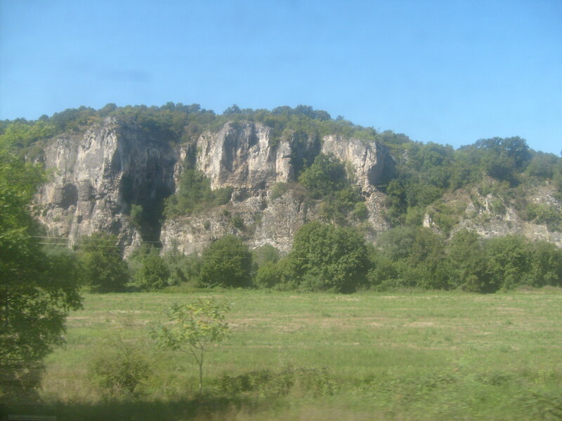 Cliff Face with Trees — Green