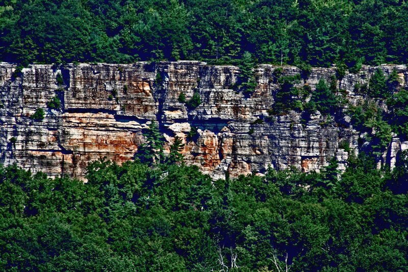 Cliff Face with Trees