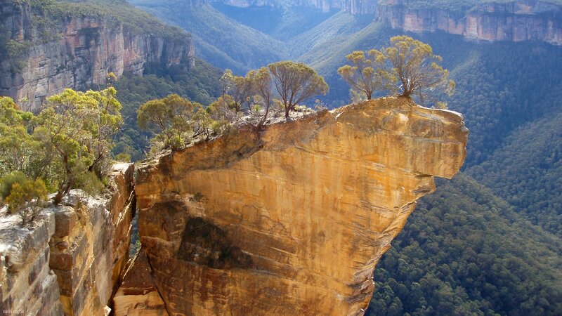 cliff overlooking forested valley