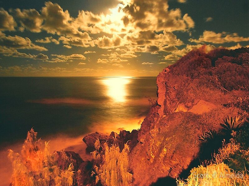 Cliff Overlooking Ocean — Orange