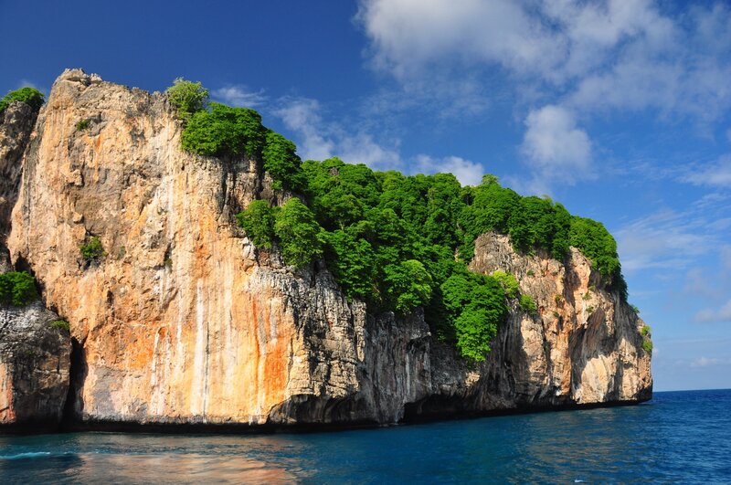Cliff with Green Trees