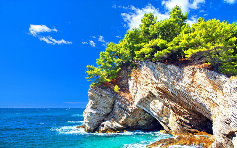 Cliff with Pine Trees — Blue, Serene