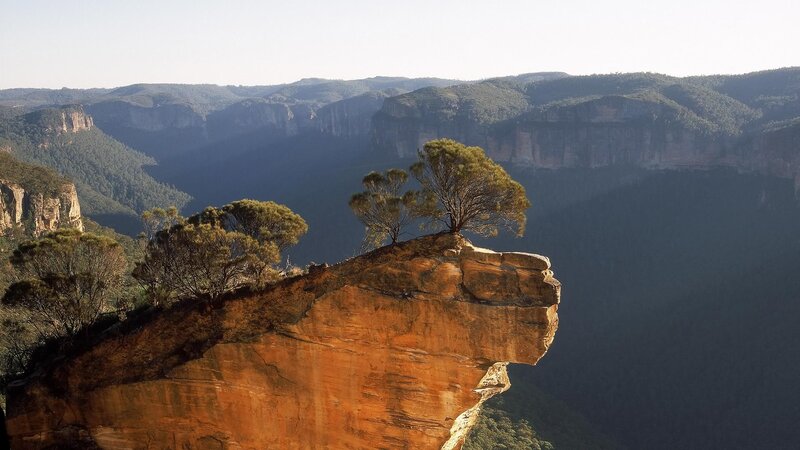 Cliff with Trees — Brown, Serene