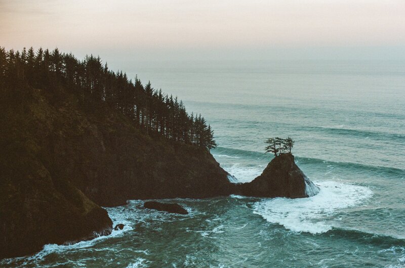 Cliff with Trees by Ocean