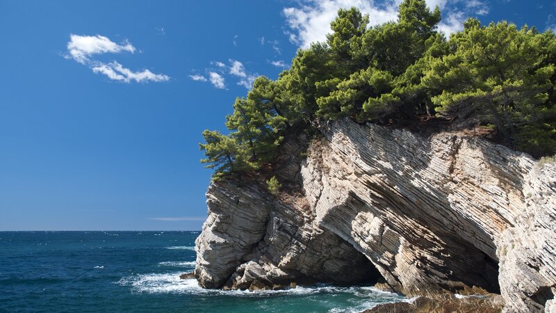 Cliff with Trees by Sea — Blue, Serene