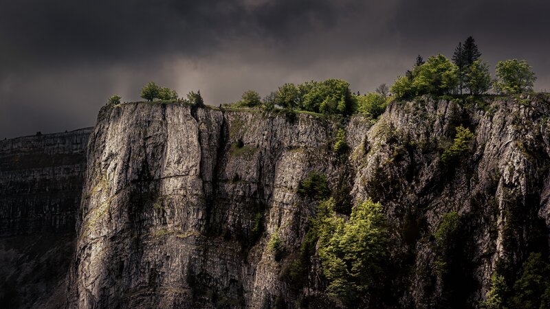 Cliff with Trees — Gray