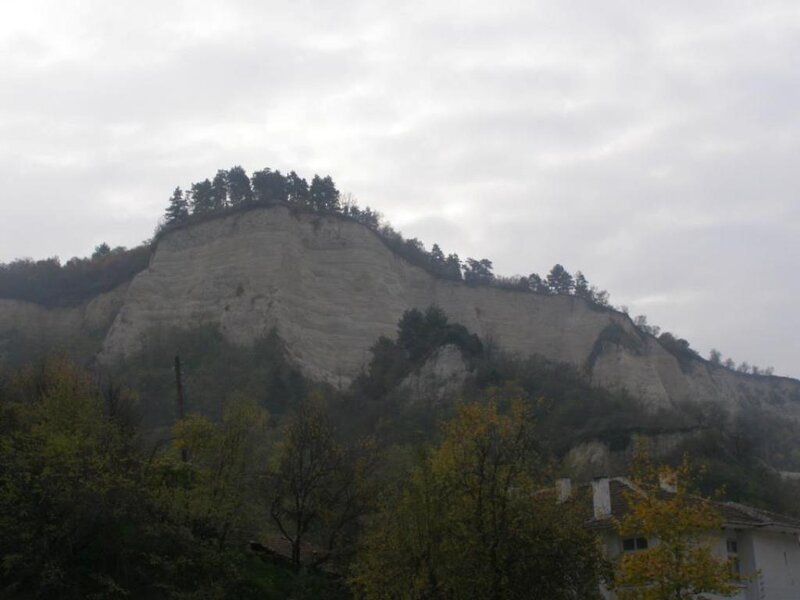 Cliff with Trees