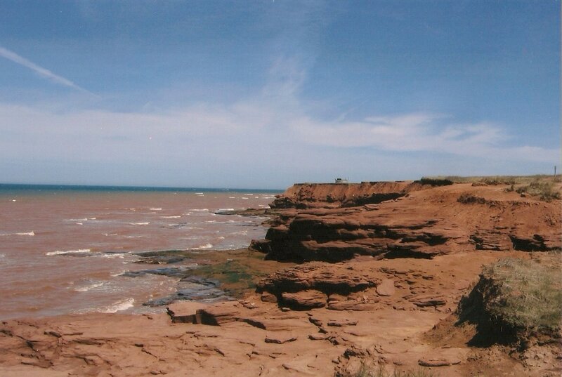 cliffs along a muddy coast