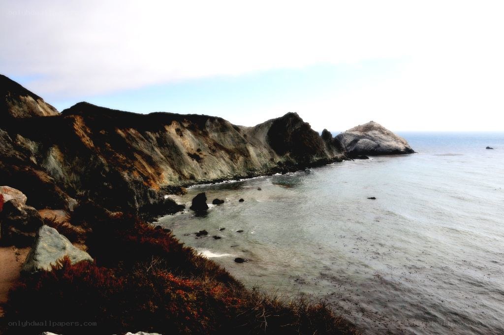 cliffs along the ocean coast