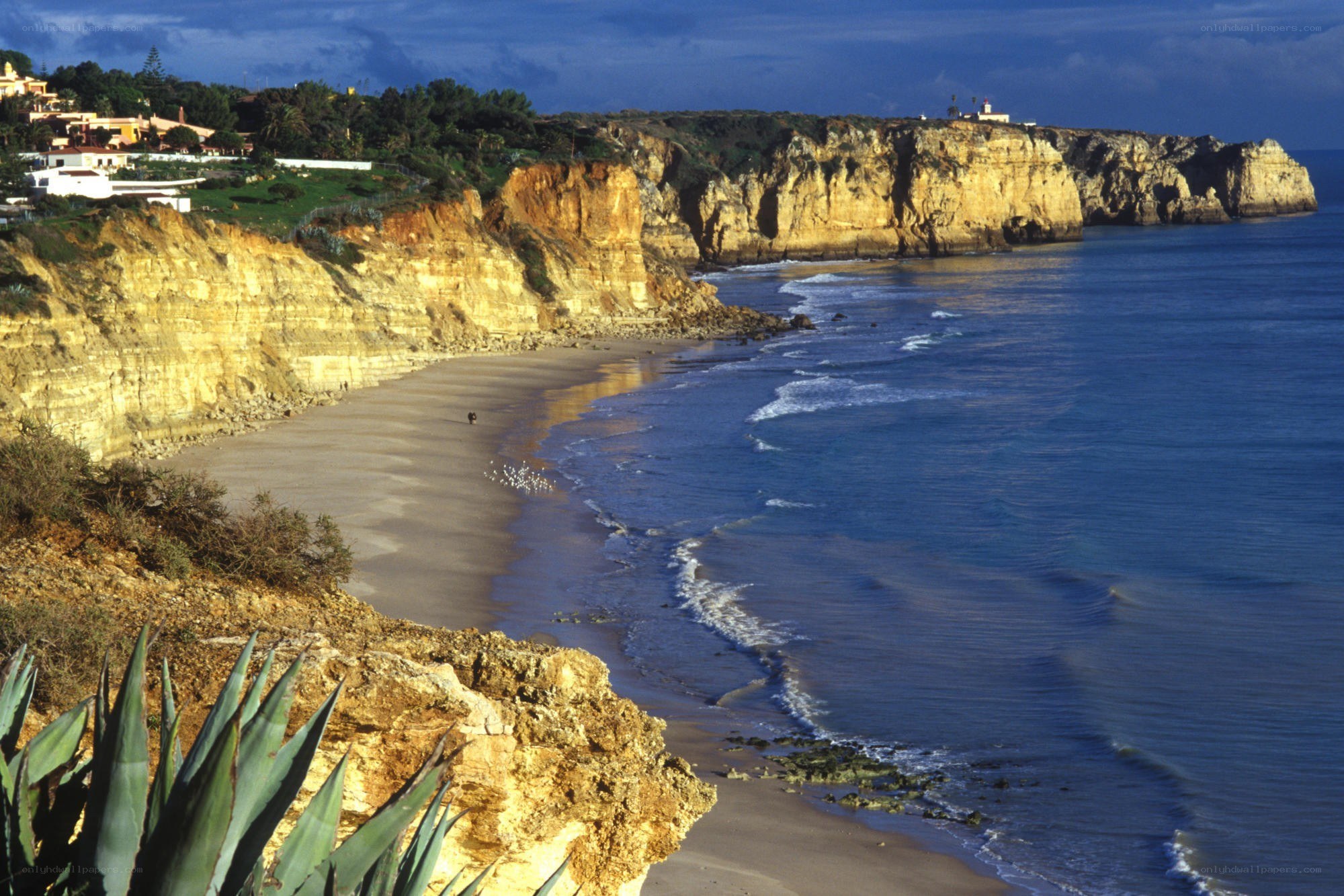 cliffs and beach at algarve