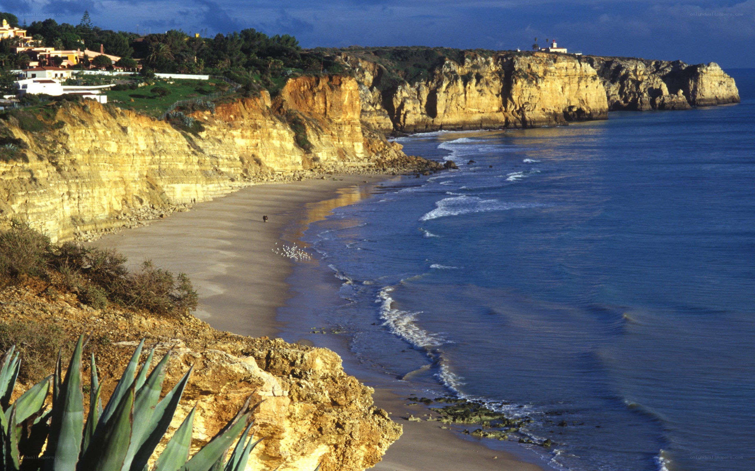 cliffs and beach in algarve