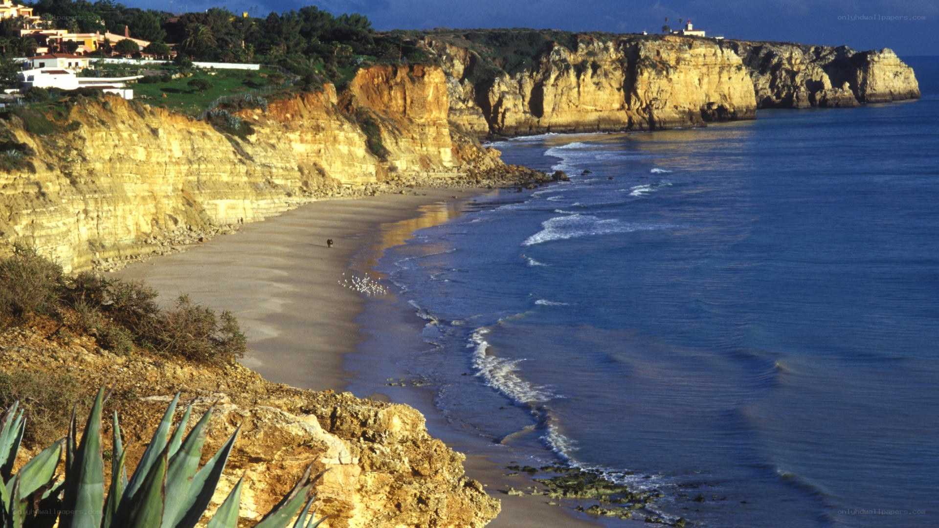 cliffs and beach in algarve
