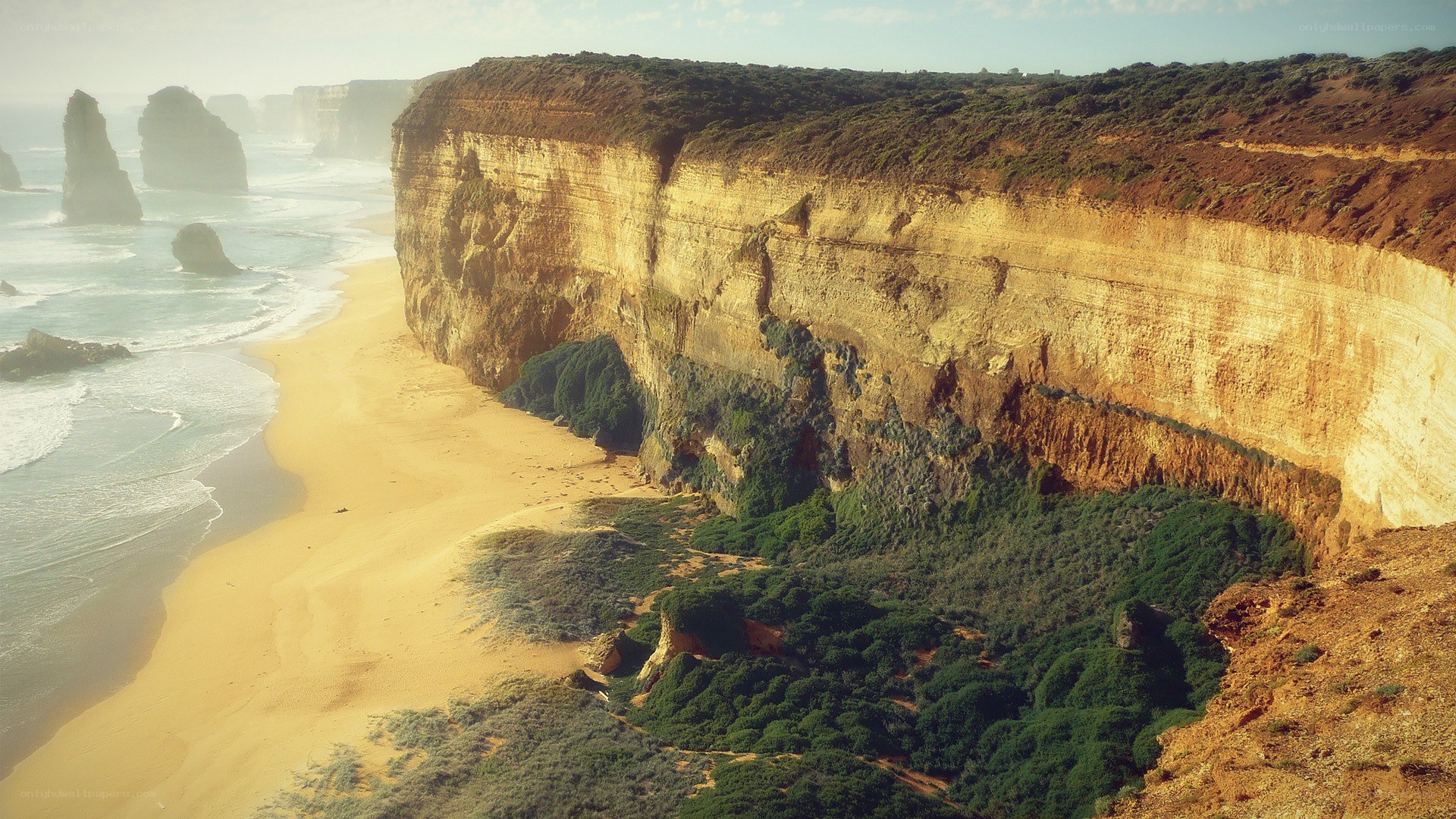 cliffs and ocean at sunrise