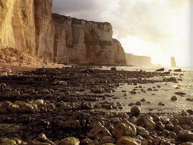 Cliffs and Rocky Beach — Brown