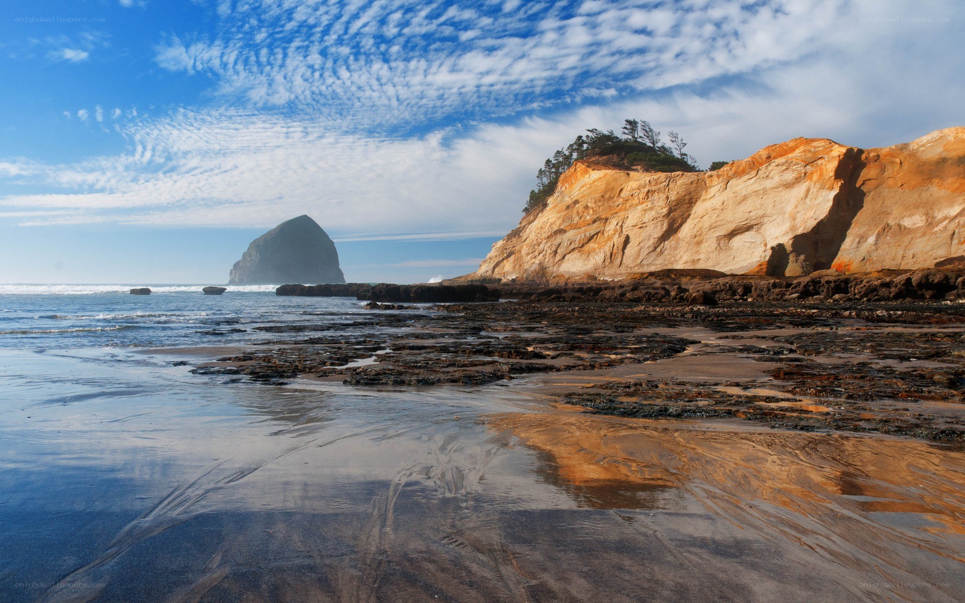 Cliffs and sea stacks at Cannon Beach