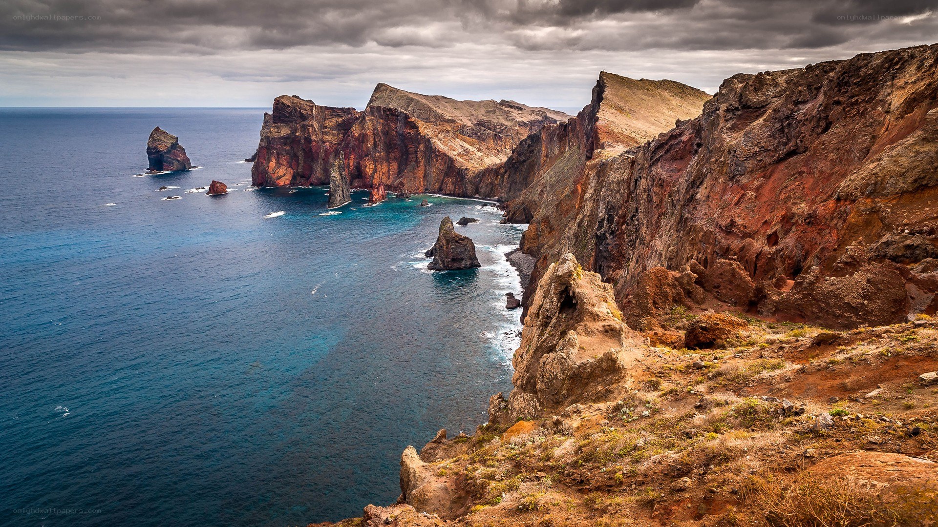cliffs and sea stacks at coast