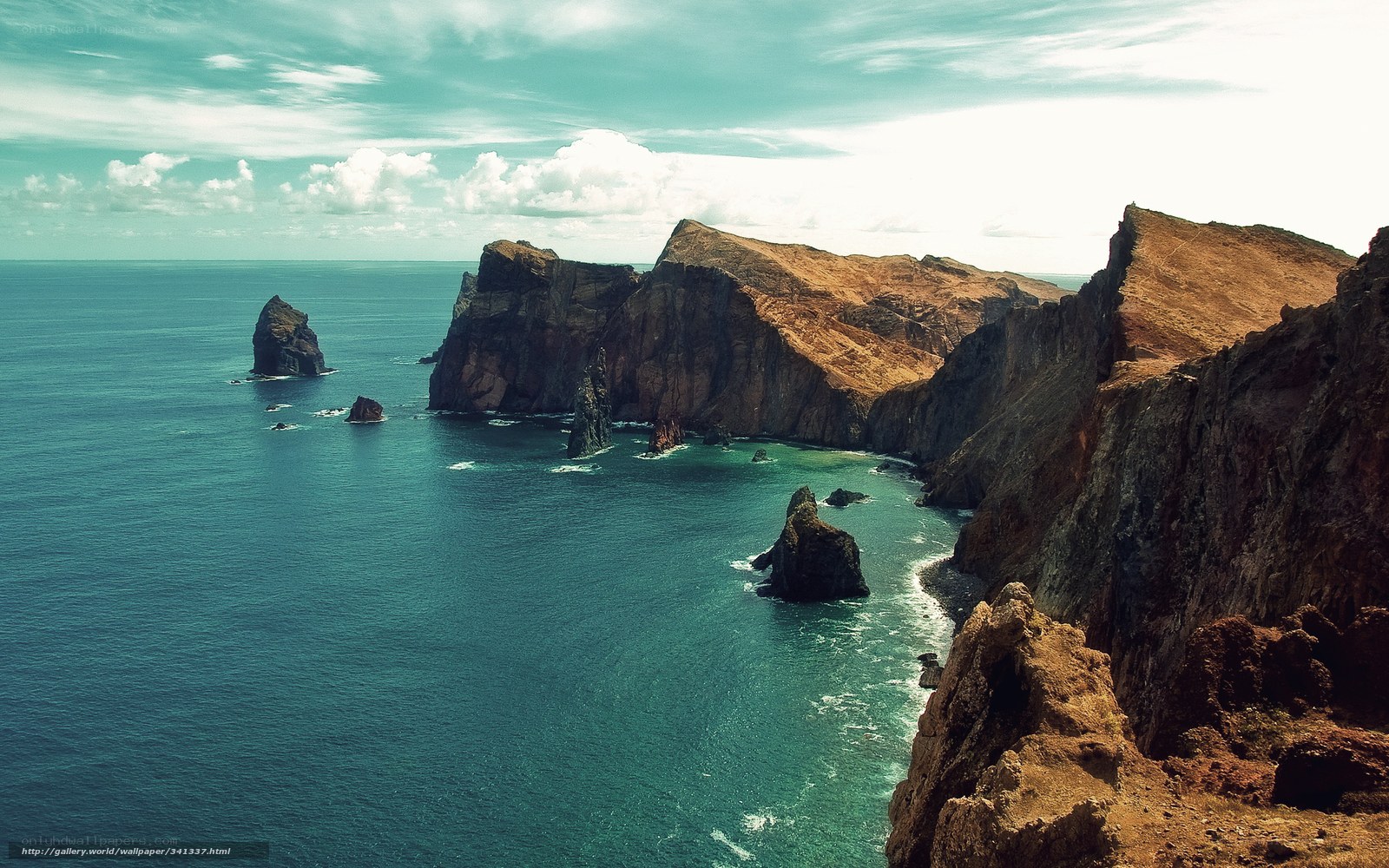 cliffs and sea stacks at coast