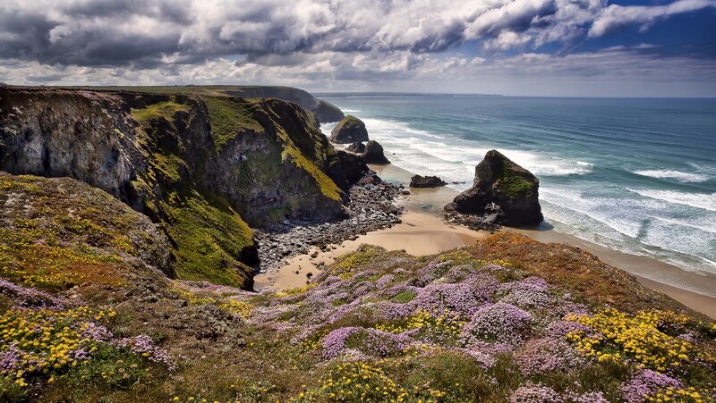 Cliffs and wildflowers by the sea