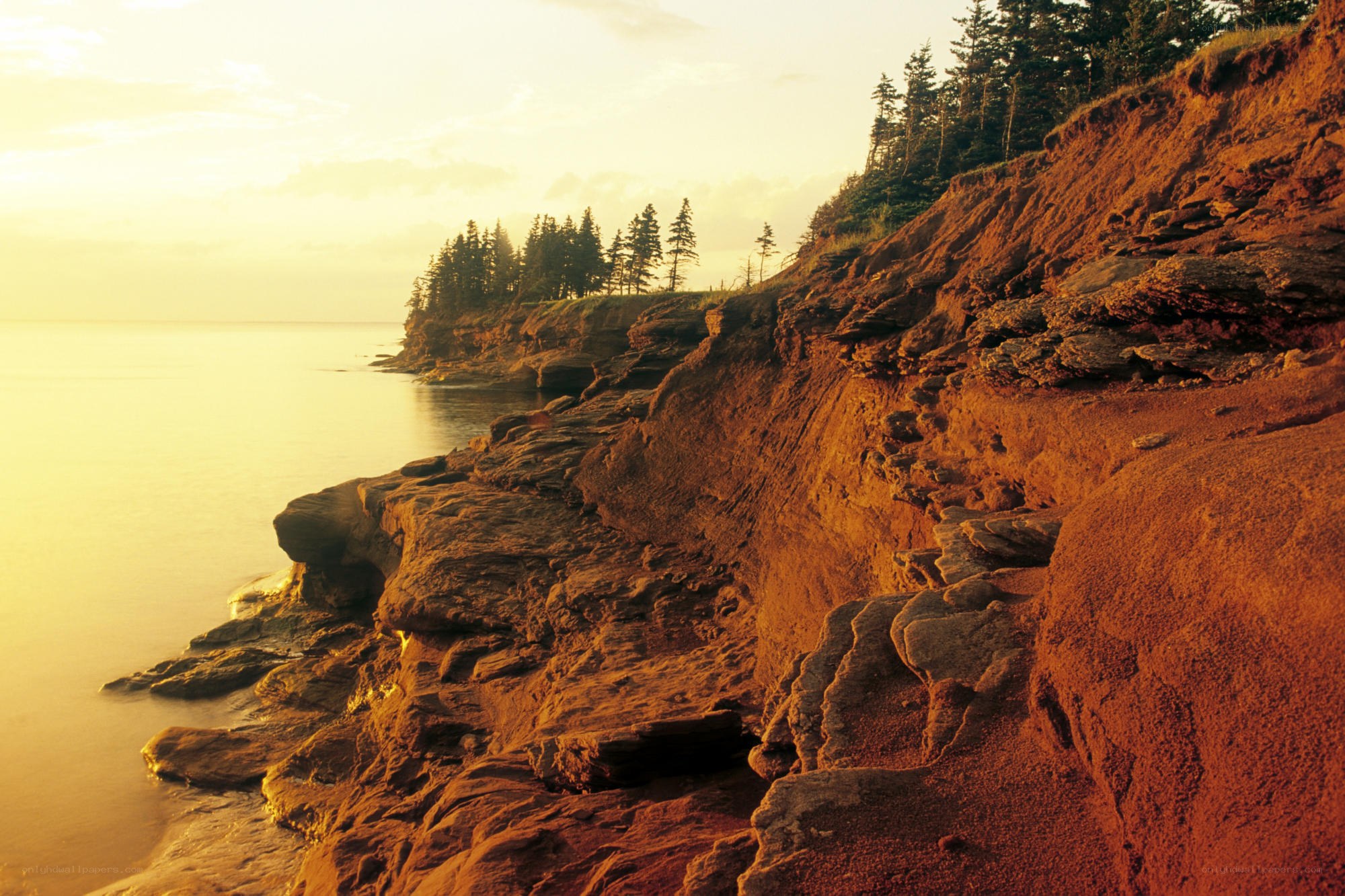 cliffs at sunset by the sea