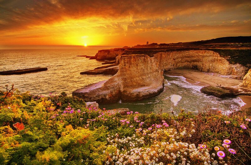 Cliffs at Sunset — Orange, Dramatic, Photograph, Ocean, Flowers