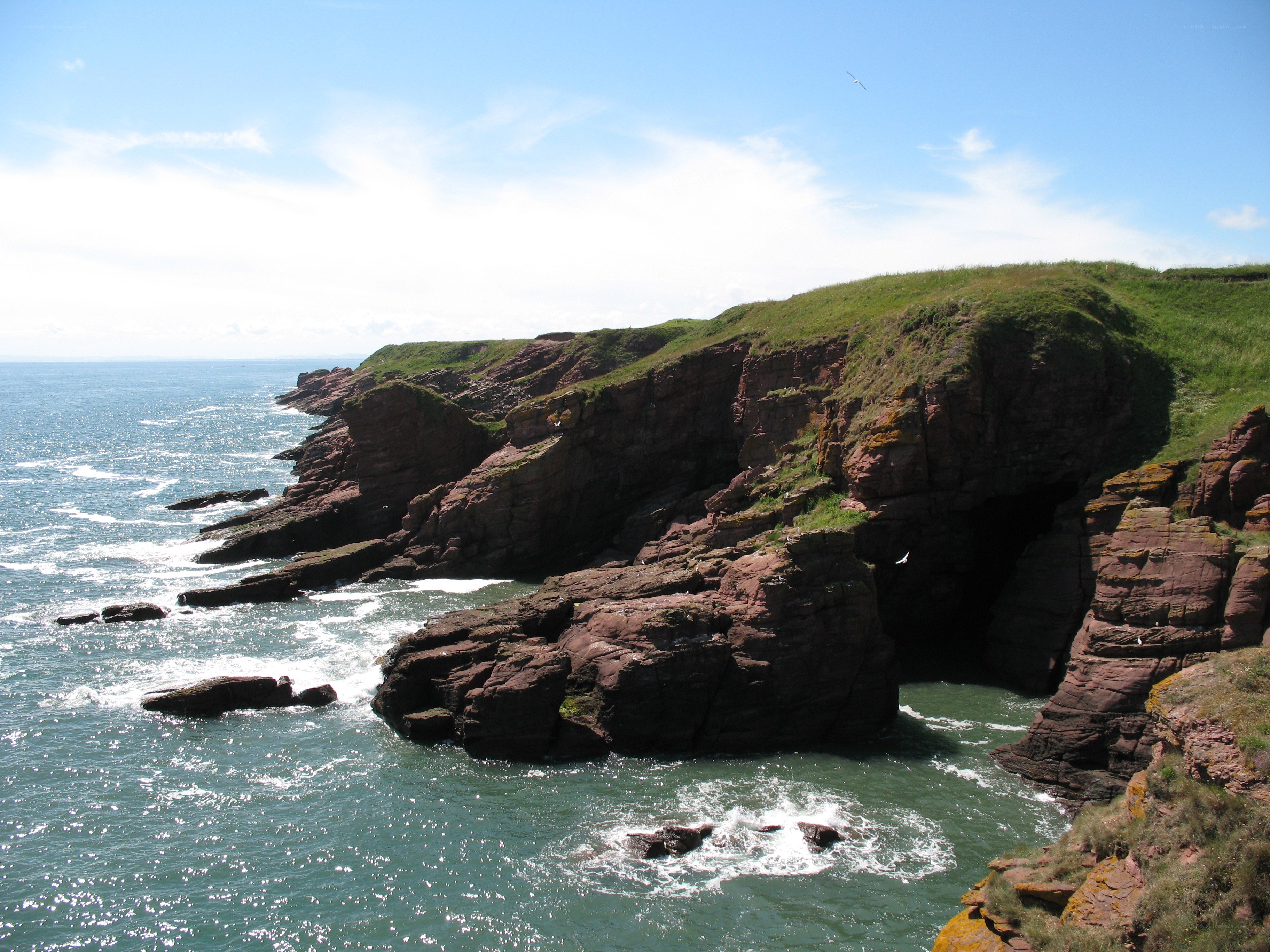 cliffs by the sea