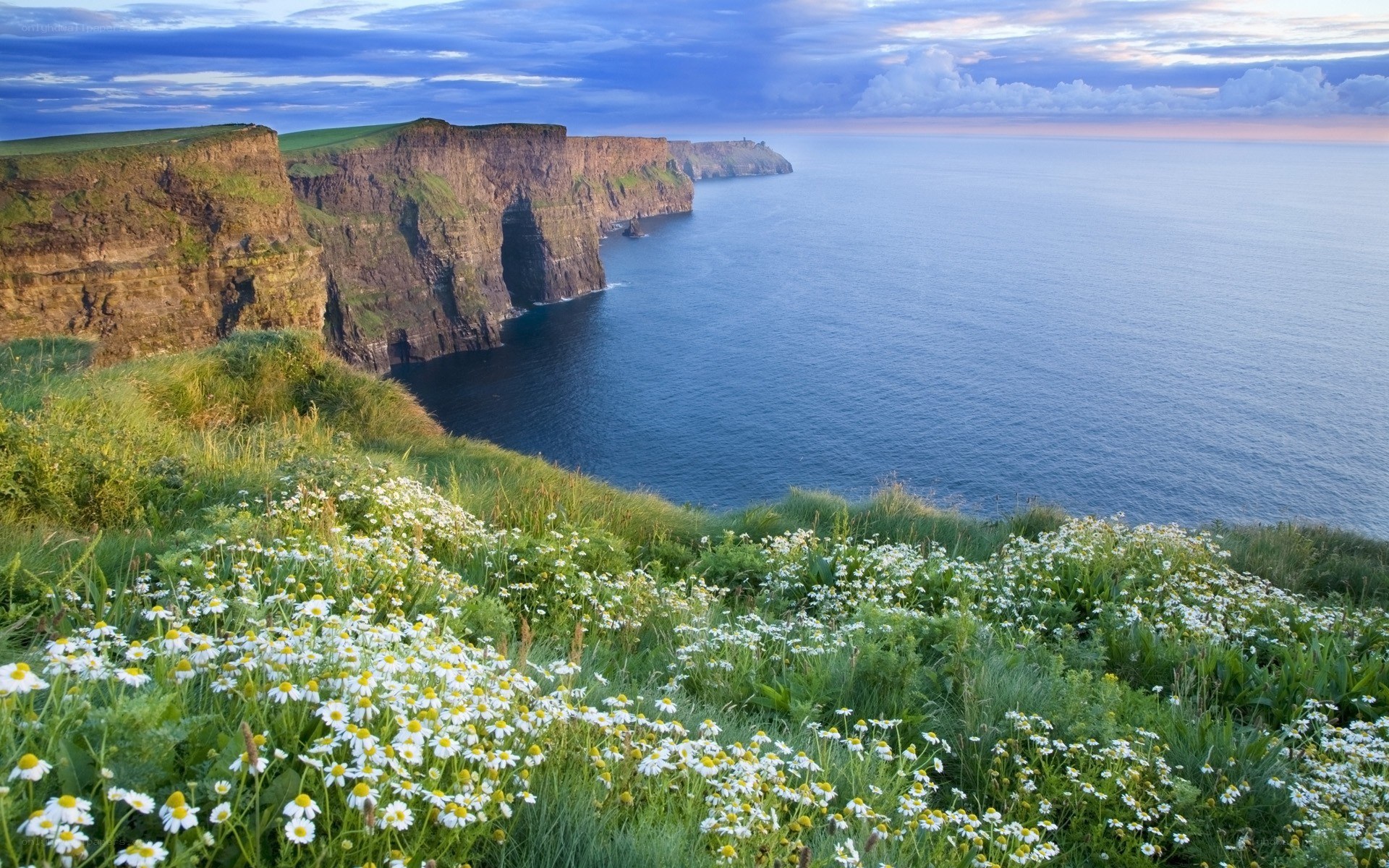 Cliffs of Moher at dawn