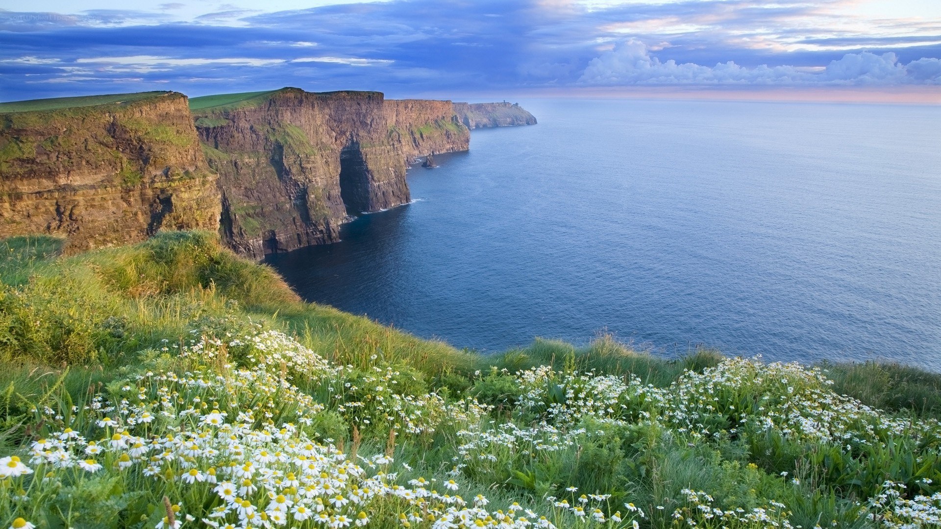 cliffs of moher at sunset