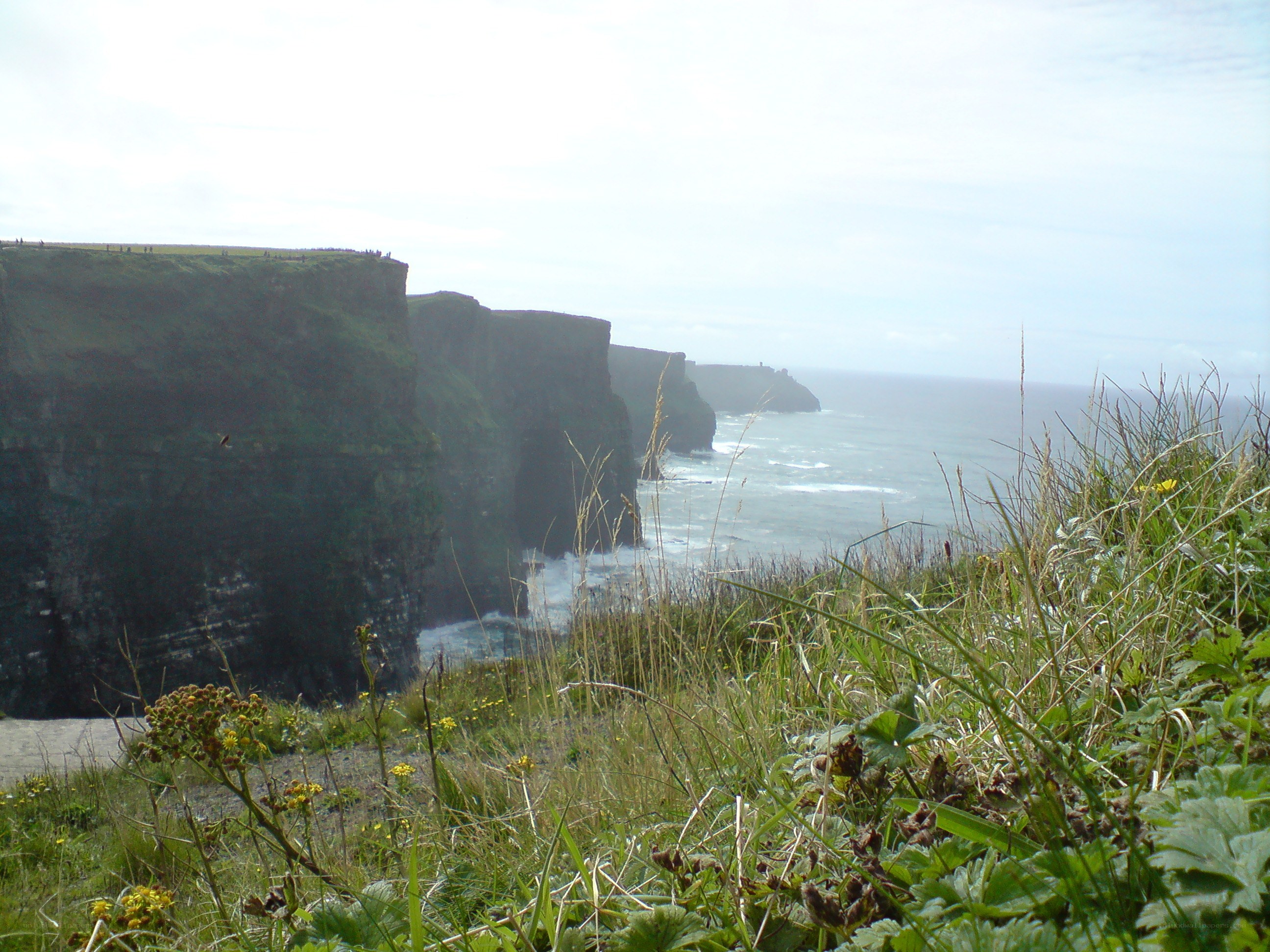 cliffs of moher view