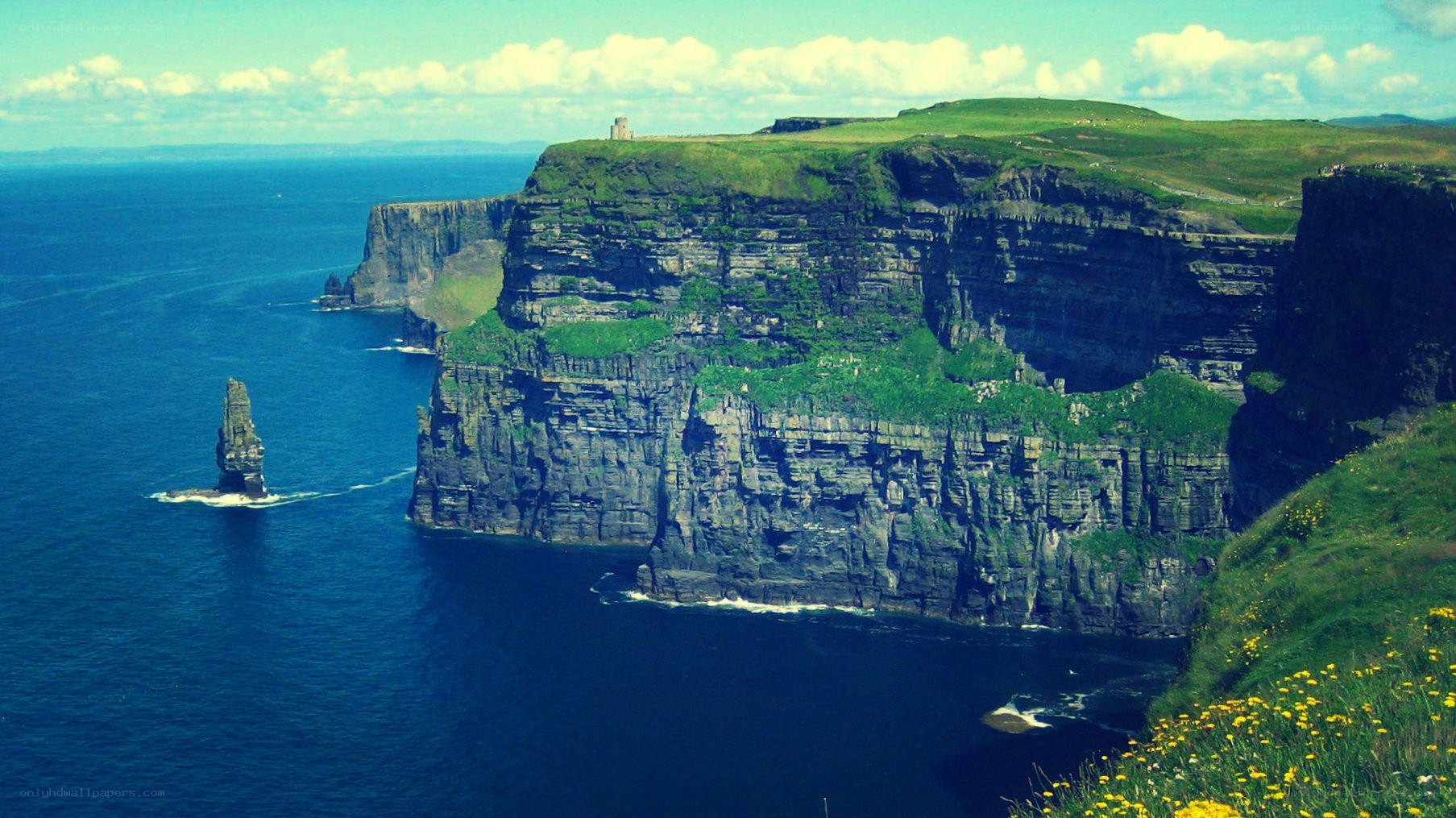 Cliffs of Moher with sea stack