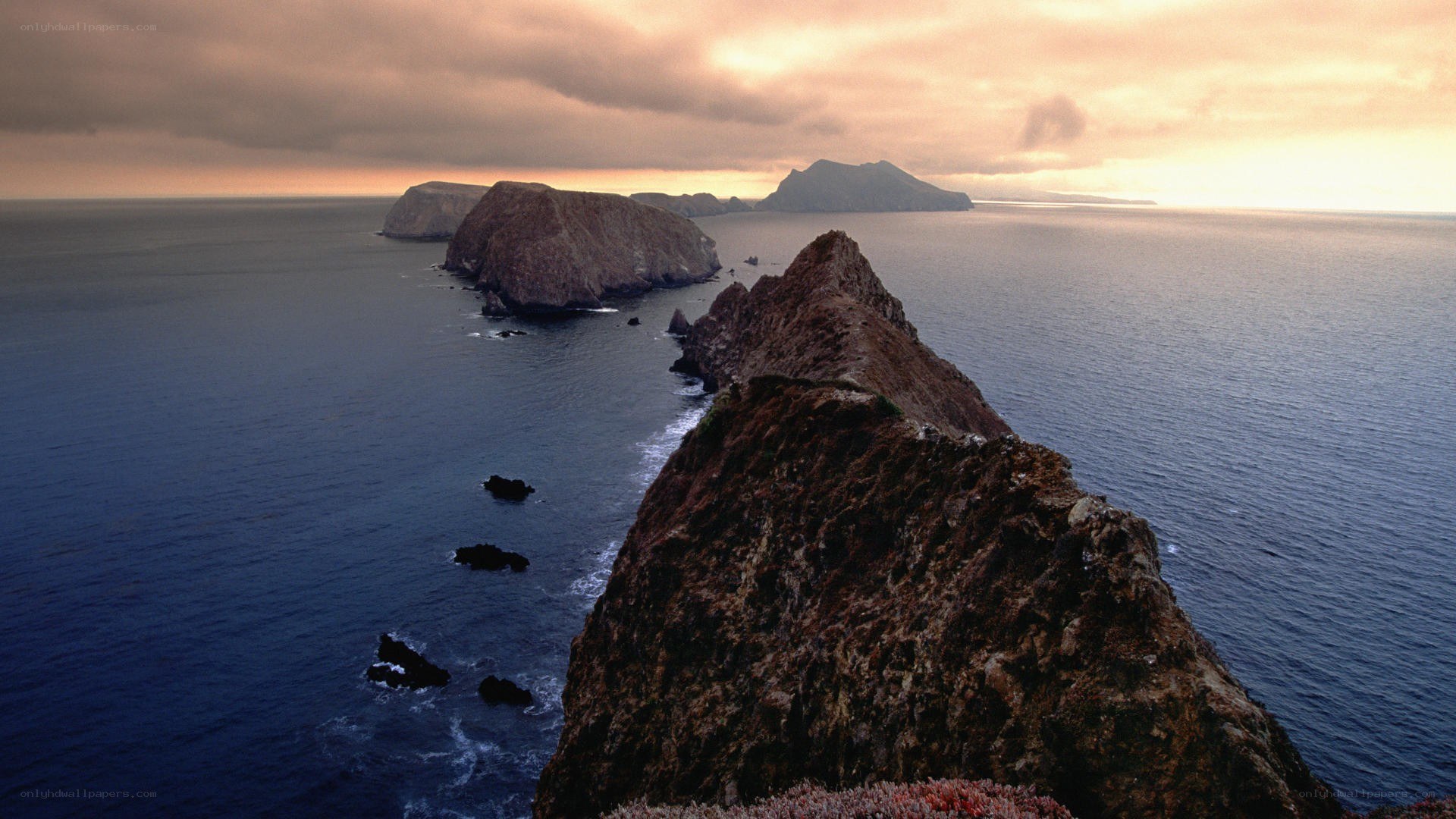 Cliffs overlooking the ocean at sunset