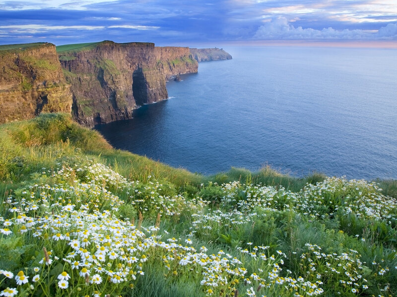 Cliffs with Daisies
