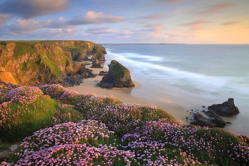 cliffs with pink flowers at sunset