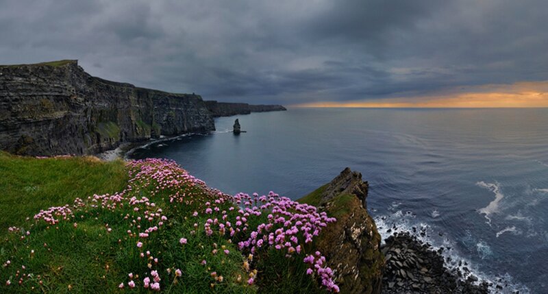 Cliffs with Pink Flowers — Green