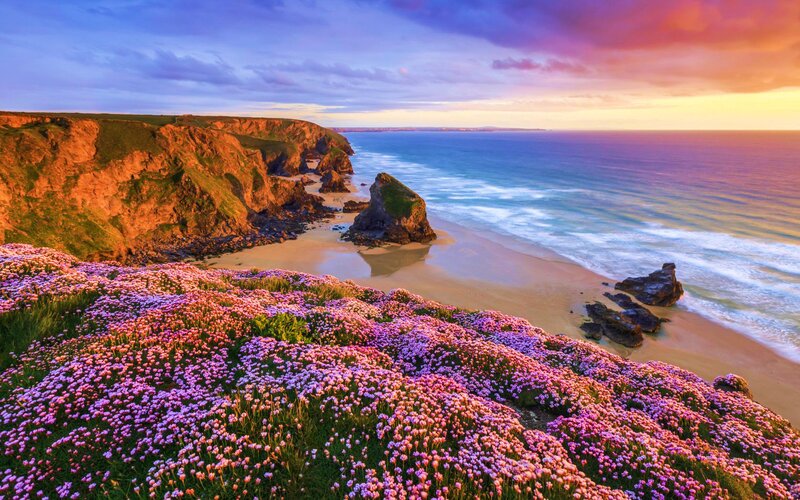 Cliffs with Pink Flowers — Serene, Sunset