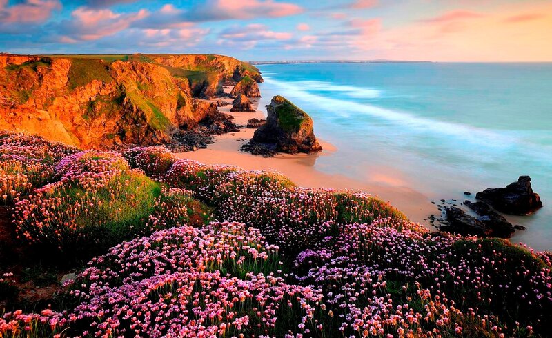 Cliffs with Pink Flowers — Serene