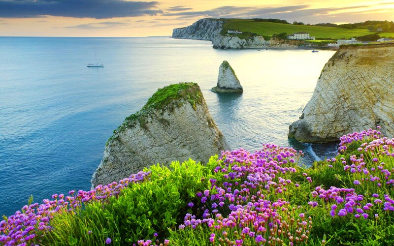 Cliffs with Purple Flowers