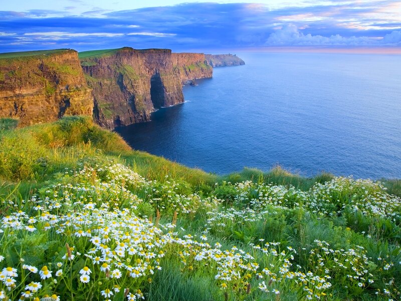 Cliffs with Wildflowers — Blue, Serene, Sunset, Photograph