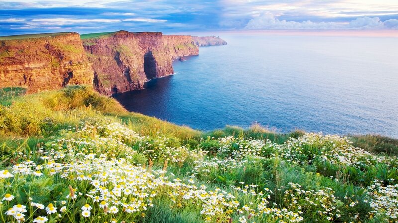 Cliffs with Wildflowers — Blue, Serene, Sunset