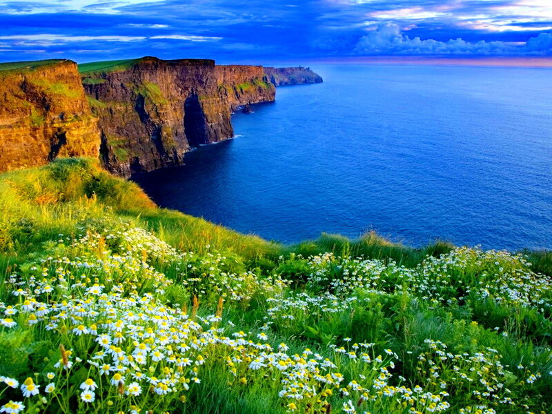 Cliffs with Wildflowers — Blue