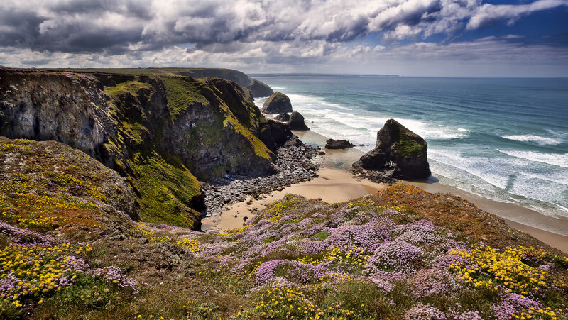 Cliffs with Wildflowers — Green, Dramatic