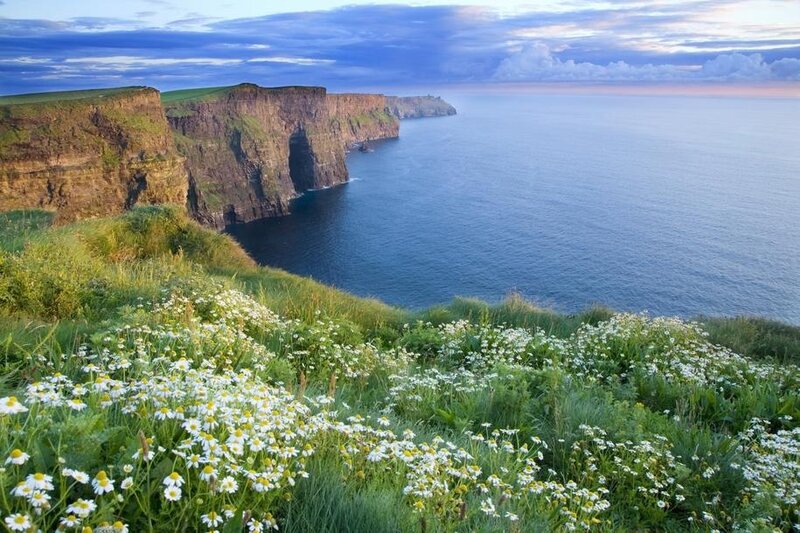 Cliffs with Wildflowers