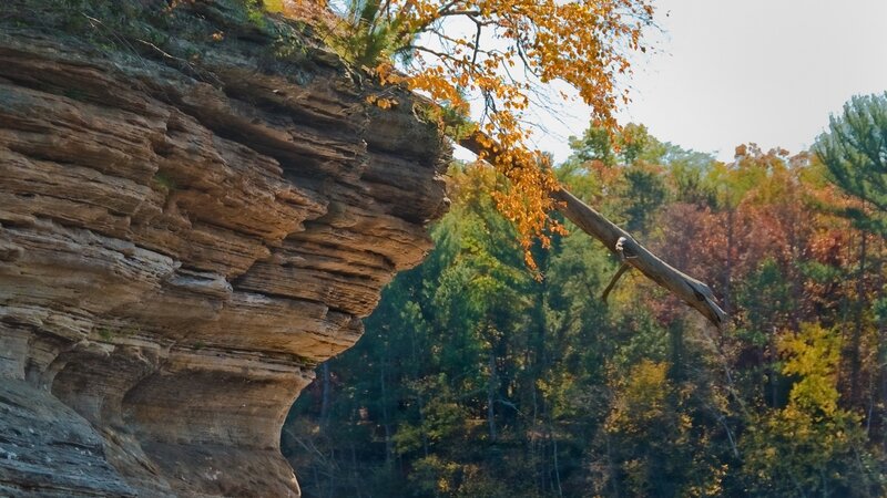 Cliffside autumn forest