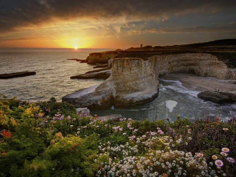 Cliffside Beach at Sunset — Orange, Dramatic, Photograph, Ocean, Flowers