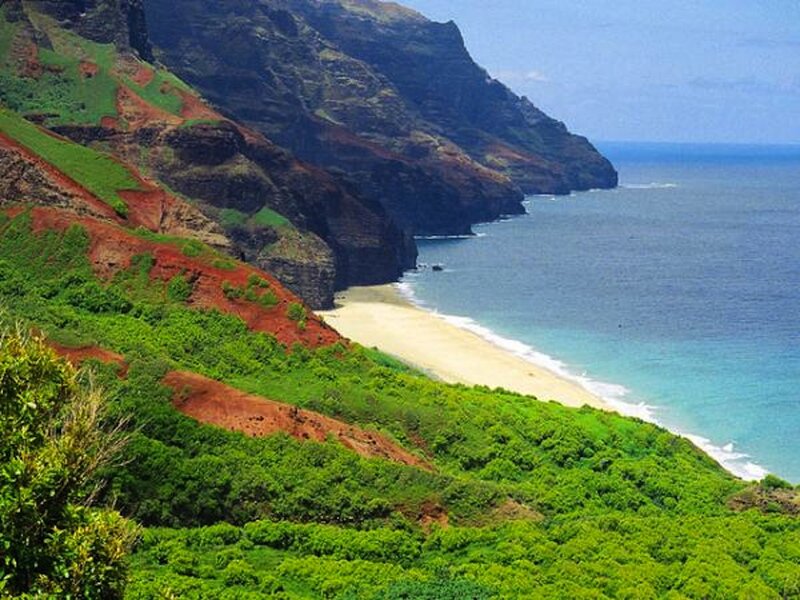 Cliffside Beach Landscape — Green