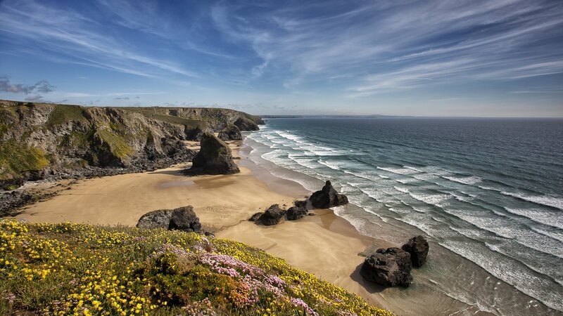 Cliffside Beach with Flowers