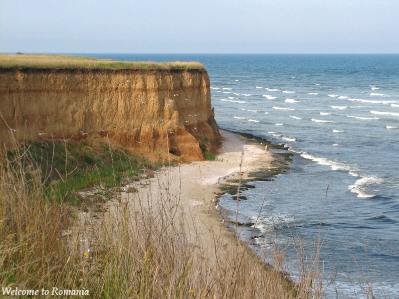 Cliffside Beach with Seagulls